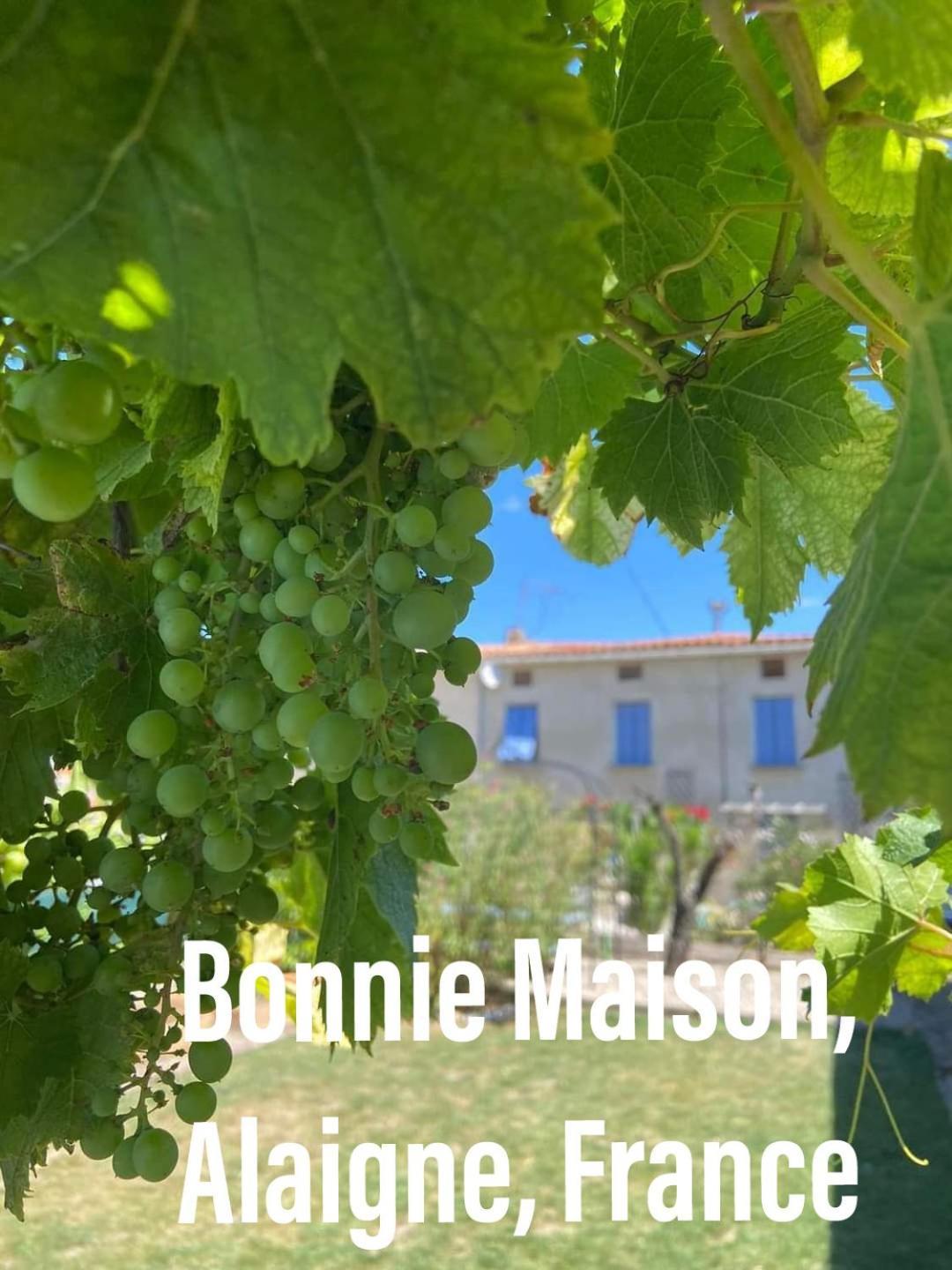 Bonnie Maison Villa Alaigne Exteriör bild